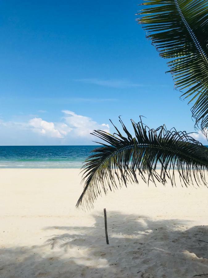 Luxury 5Th Avenue Menesse 32 Daire Playa del Carmen Dış mekan fotoğraf